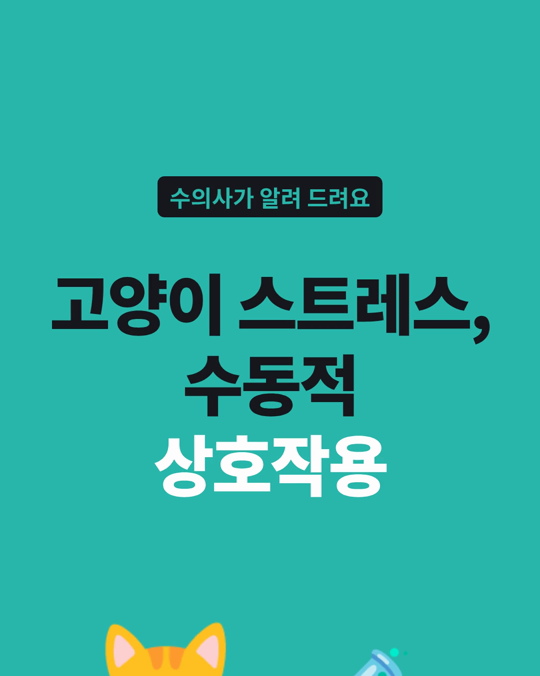 고양이 침 속 스트레스 호르몬은 수동적 상호작용 뒤에 내려갔습니다.