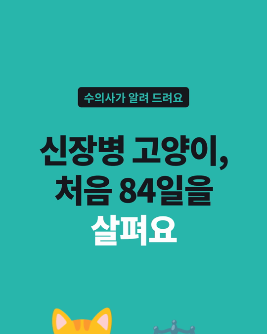 고양이 만성 신장병은 진행 양상이 고양이마다 매우 달랐습니다.