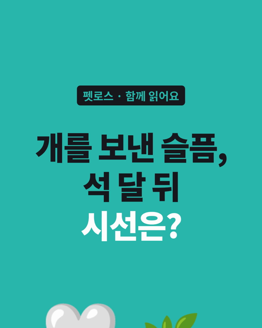 개를 잃은 슬픔에 대한 공감은 처음 일주일과 석 달 뒤가 달랐습니다.