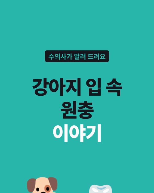 강아지 입 속 원충(트리코모나스)은 나이 많고 치석이 심한 개에서 더 자주 나왔습니다.