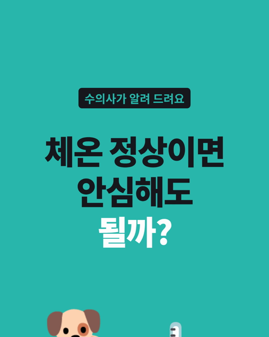 강아지 체온이 정상으로 나와도 이상 체온을 놓칠 수 있었습니다.