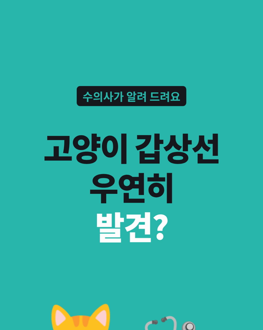 한국에서 방사성 요오드 치료를 받은 고양이 152마리 중 30.3%는 우연히 발견됐습니다.