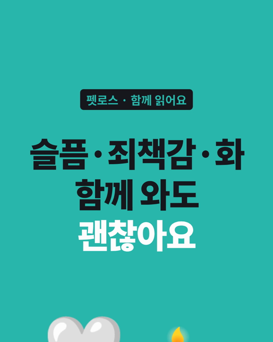 펫로스 뒤에 슬픔·죄책감·화가 함께 올라와도 이상하게 여기지 않으셔도 됩니다.