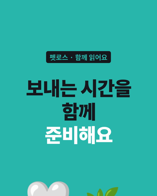 반려견 안락사 뒤의 애도, 보호자와 함께하는 과정으로 자주 그려졌습니다.