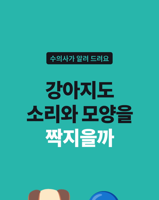 강아지도 부바-키키 효과처럼 소리와 모양을 연결할까요?