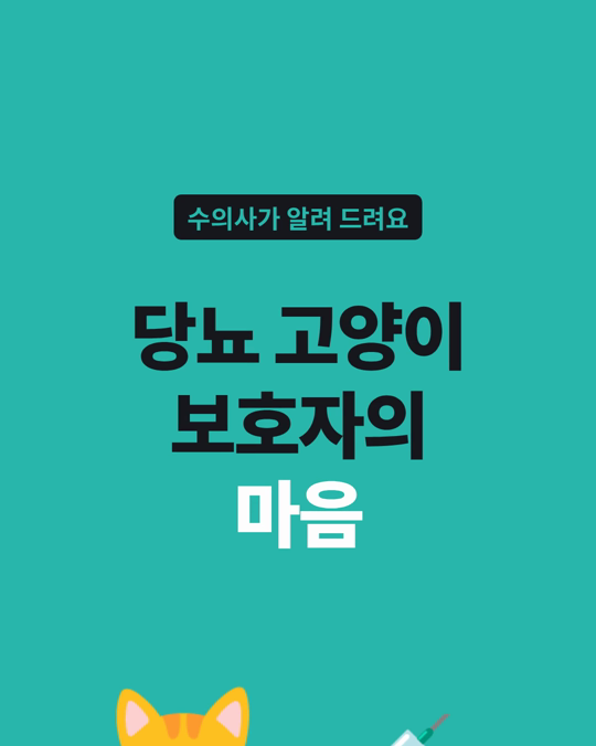 당뇨 고양이를 치료하는 보호자 12명은 책임감, 삶의 질, 마지막 결정의 무게를 말했습니다.