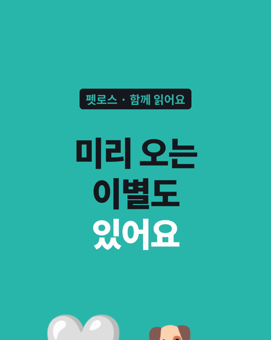 보조견 은퇴처럼 미리 오는 이별은 미리 알고 준비할 시간이 필요하다고, 단체 직원들은 말했습니다.