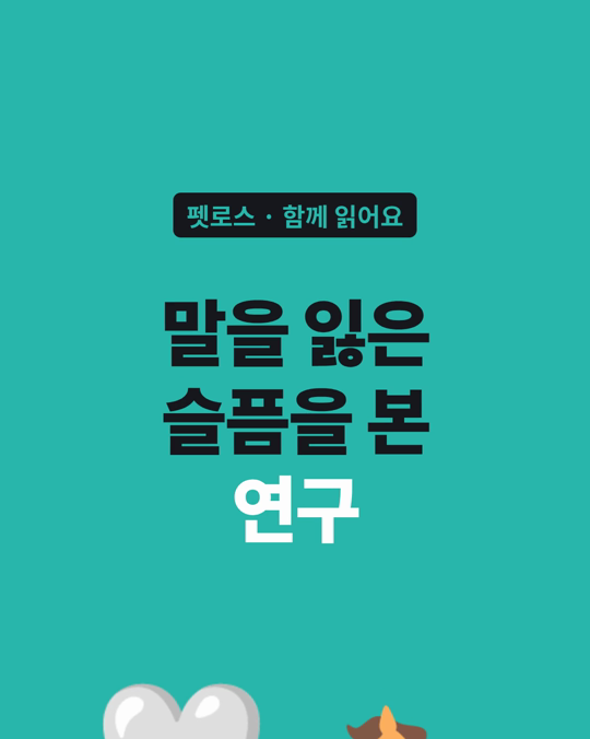 말을 떠나보낸 뒤의 슬픔도 사람의 애도 틀로 설명할 수 있었다는 연구입니다.