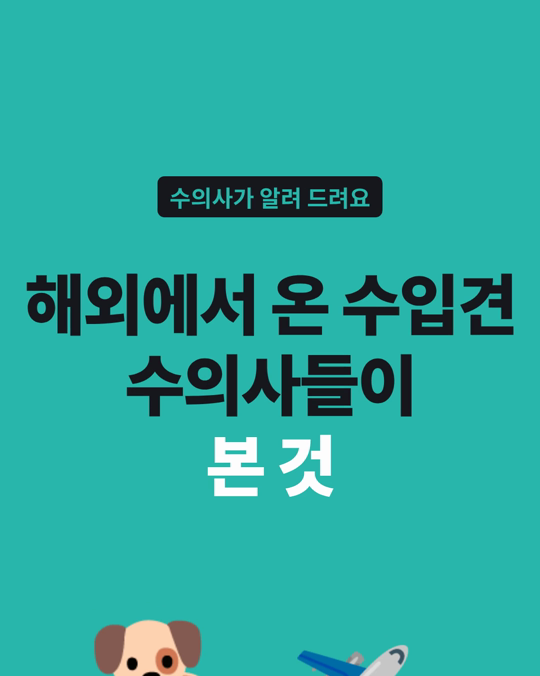 해외에서 들여온 수입견 입양, 영국 수의사 413명이 본 이동 중 위험과 서류 문제를 정리했습니다.