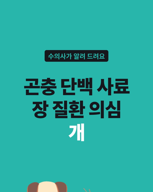 식이 반응성 장 질환이 의심되는 강아지에게 곤충 단백 사료만 먹인 시험이 있었습니다.