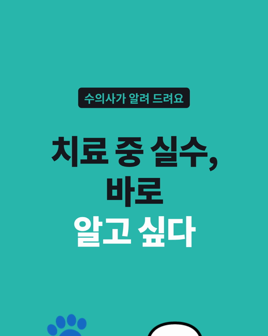 반려동물 보호자 72%는 치료 중 의료 실수를 모두 알고 싶다고 했습니다.