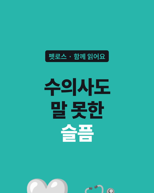 수의사 펫로스, 죽음을 자주 보는 직업이어도 자기 아이를 잃은 슬픔은 따로 있었습니다.
