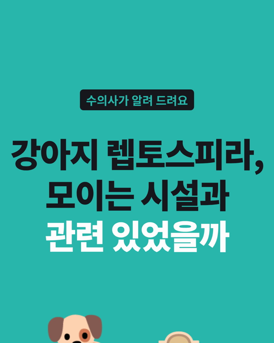 강아지 렙토스피라증과 개 유치원·호텔 같은 실내 공동 시설의 관련성을 살핀 미국 연구입니다.