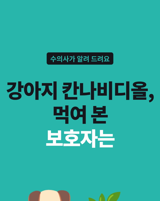 강아지 칸나비디올(CBD)을 먹여 본 보호자는 프랑스 설문에서 개 보호자의 29%였습니다.