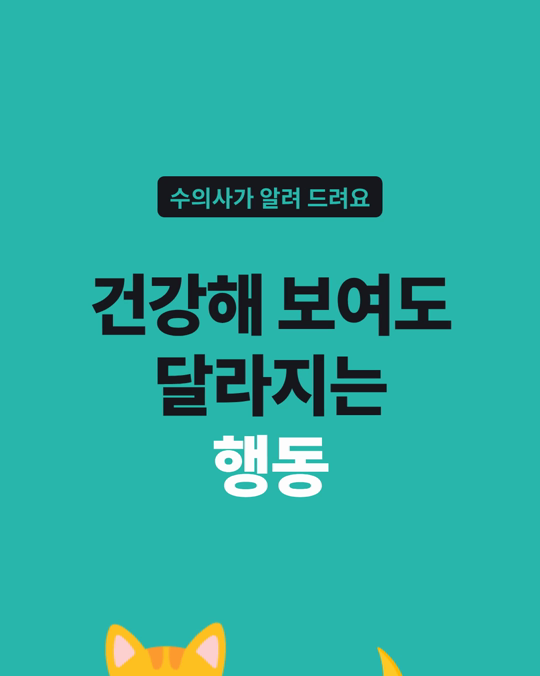 나이 든 고양이의 행동 변화는 체형 점수·혈액검사 수치와 함께 나타났습니다.