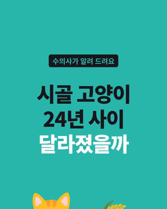 덴마크 시골 지역에서 고양이의 중성화와 마이크로칩 등록이 24년 사이 늘었습니다.