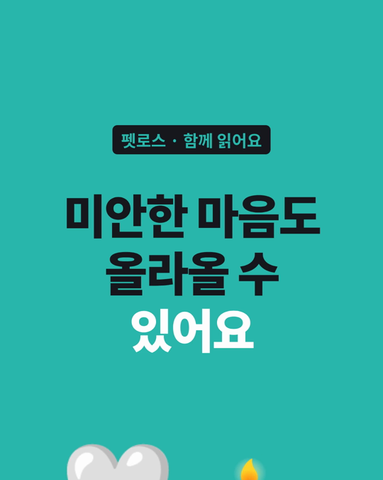 반려동물을 잃은 뒤 올라오는 죄책감은, 연구들에서 슬픔과 따로 하나의 주제로 나왔습니다.