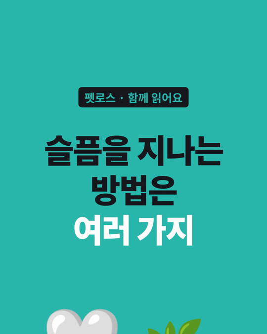 펫로스 슬픔 속에서 보호자들이 써 온 대처 방법은 여러 가지였습니다.