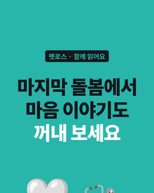 반려동물 마지막 돌봄에서 호스피스·완화 수의사들은 정서적 지지도 한다고 정리됐습니다.