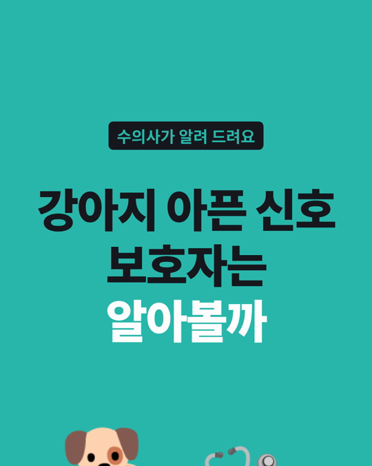 강아지 통증 신호를 평가한 네덜란드 설문 연구입니다.