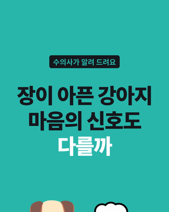 만성 장 질환이 있는 강아지는 마음의 신호도 달랐습니다.