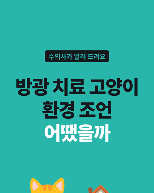 방광 문제로 치료받은 고양이 보호자는 집안 환경 조언을 어떻게 받아들였을까요?
