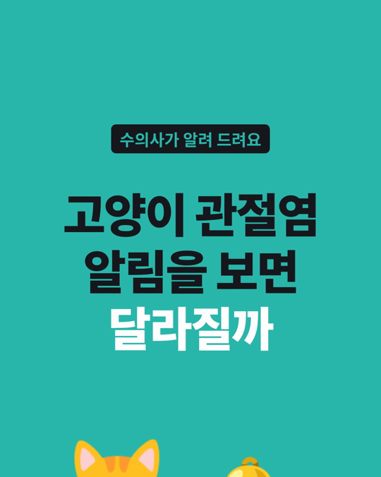 고양이 관절염 알림 콘텐츠를 본 보호자는 지식과 자신감이 달라졌습니다.