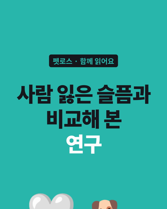 반려동물을 잃은 슬픔과 사람을 잃은 슬픔을 측정해 보니, 슬픔의 강도에 유의한 차이가 없었습니다.