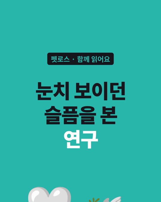 반려동물을 잃은 슬픔을 주변 사람들은 어떻게 보는지, 포르투갈 시나리오 실험으로 살펴봤습니다.